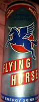 Flying horse