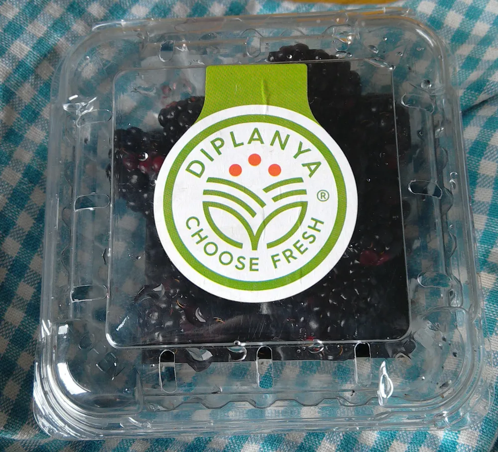 Blackberries