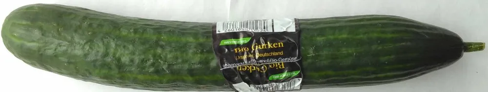 Bio Gurke