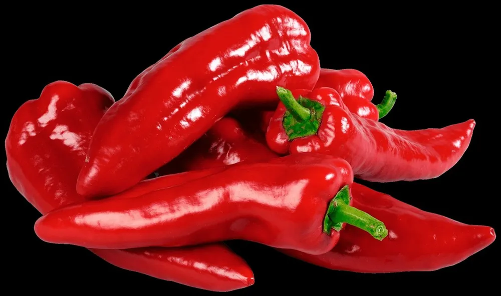 Paprika