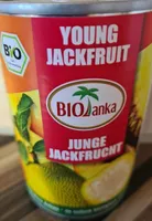 Young Jackfruit
