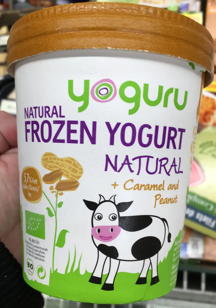 Natural Frozen Yogurt Natural + Caramel and Peanut