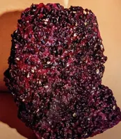 Drachenfrucht