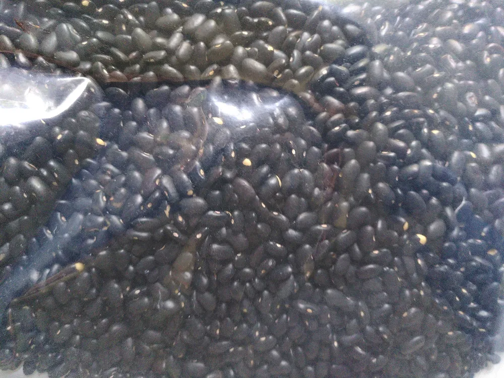 Schwarze Bohnen