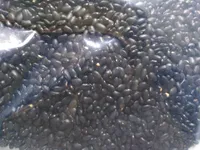 Schwarze Bohnen