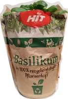 Basilikum
