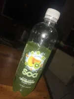 Fruity Splash Kiwi Melon