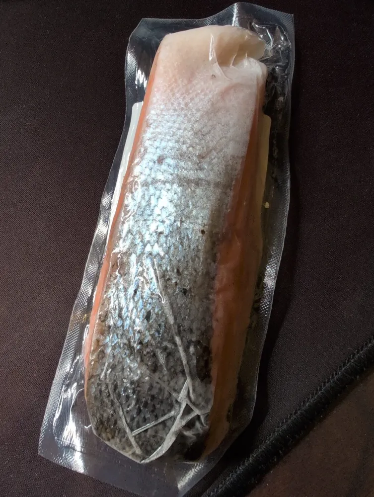 Land-based Salmon Fillet