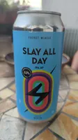 Slay All Day (IPA AF)