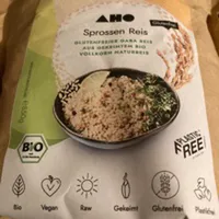 AHO Sprossenreis