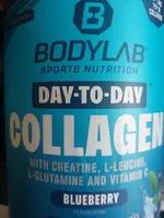 Day To Day Collagen Blueberry