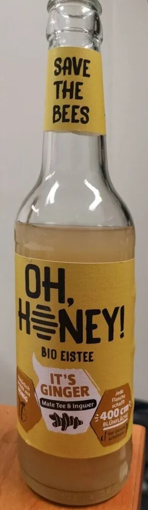 Iced Tea Bio gingembre