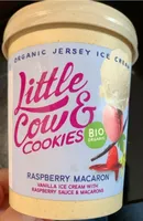 Raspberry Maceron Ice Cream