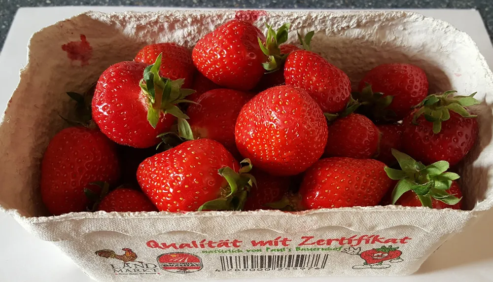 Erdbeeren