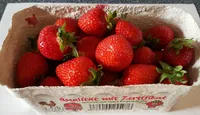 Erdbeeren
