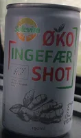Øko ingefær shot