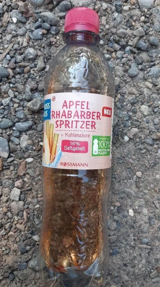 Apfel Rhabarber Spritzer