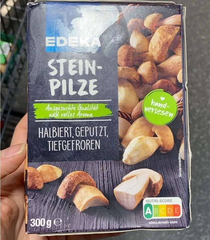 Stein pilze