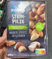 Stein pilze