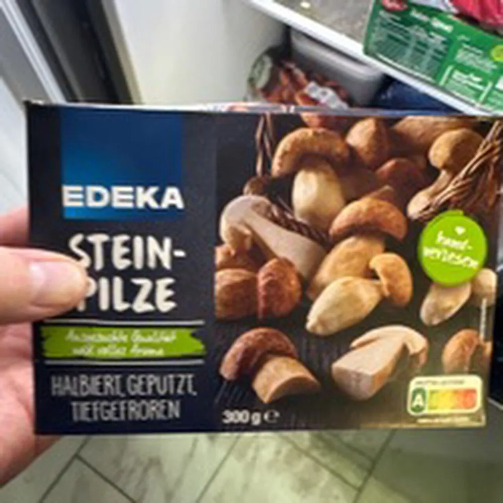 Steinpilze