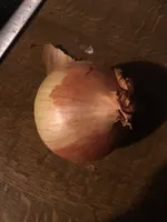 Bio Zwiebeln