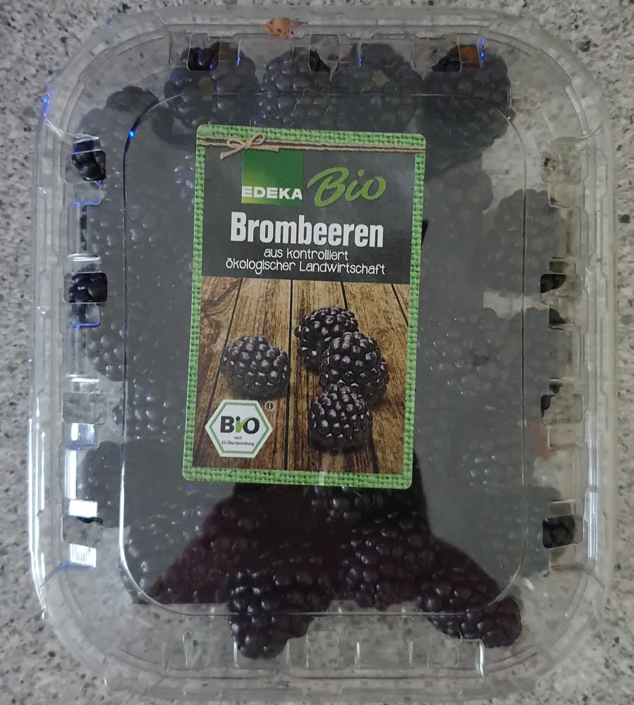 Bio Brombeeren