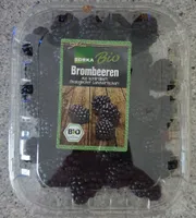 Bio Brombeeren