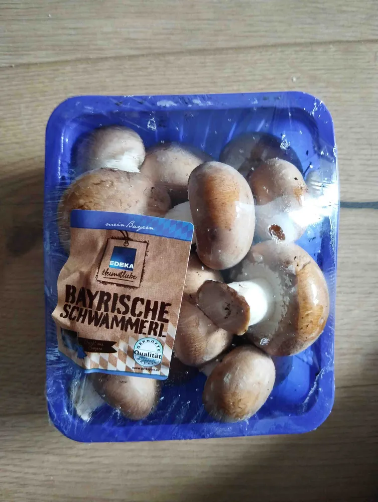 Champignons braun