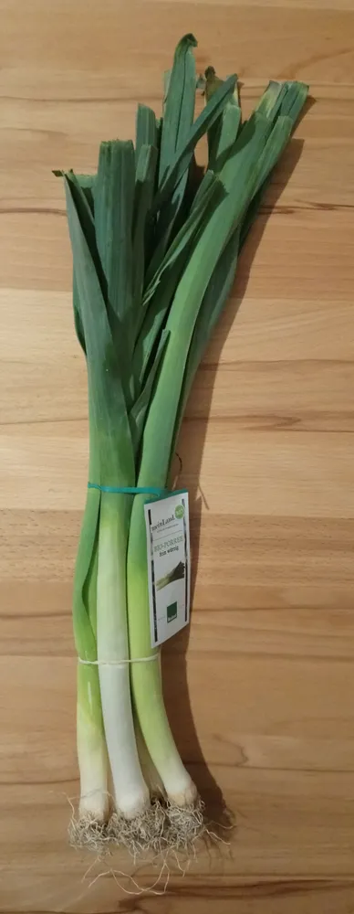 Bio-Porree fein würzig