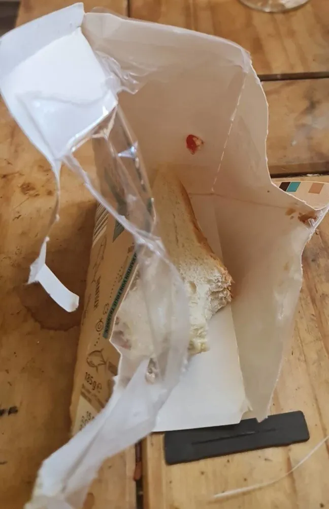 Thunfisch-Sandwich