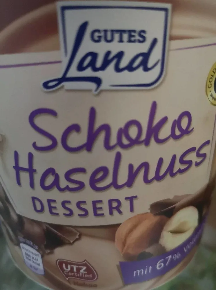 Schoko Haselnuss Dessert