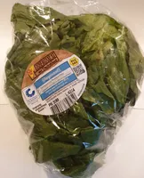Eisbergsalat