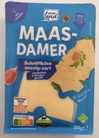 Maasdamer