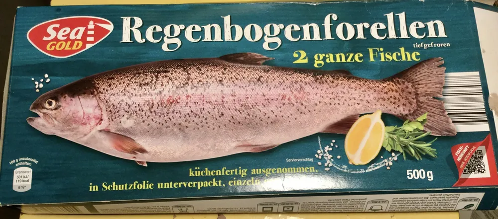 Regenbogenforellen