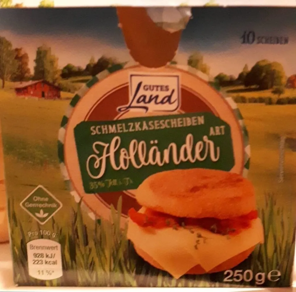 Schmelzkäsescheiben Holländer Art