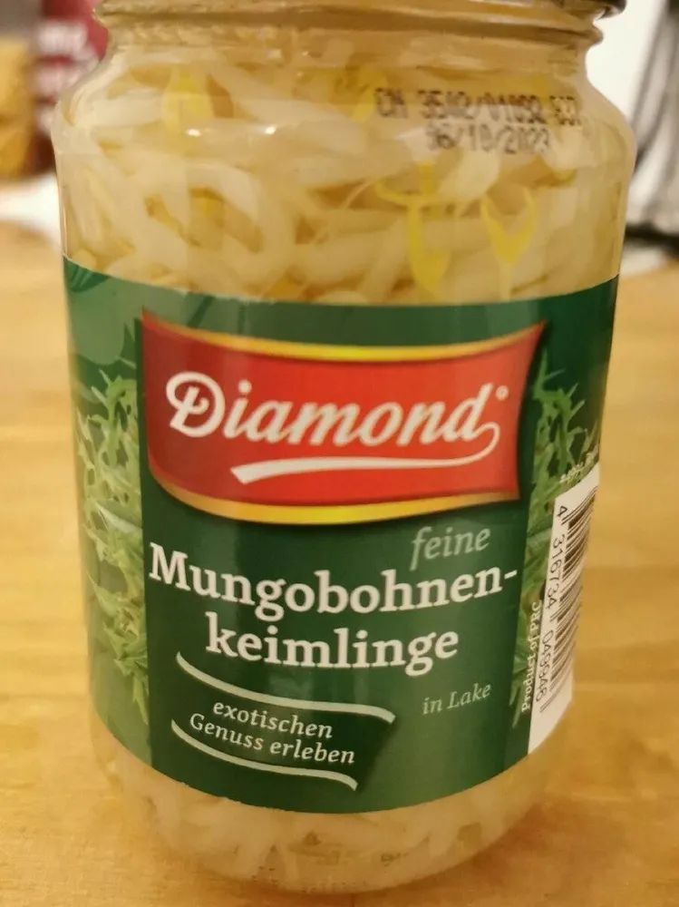 Feine Mungobohnenkeimlinge