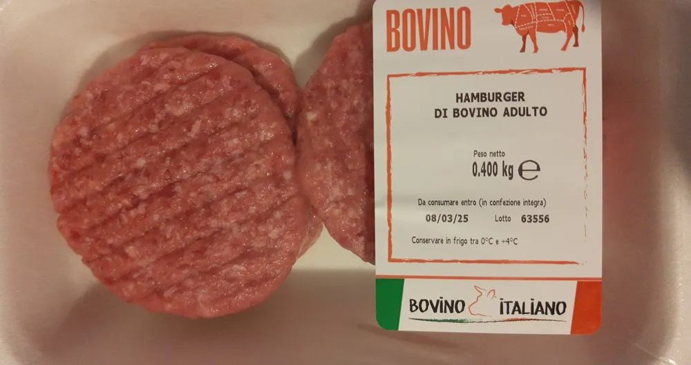 Hamburger di bovino adulto