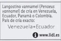 Llagostins
