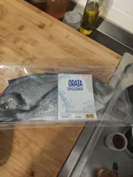 Orata