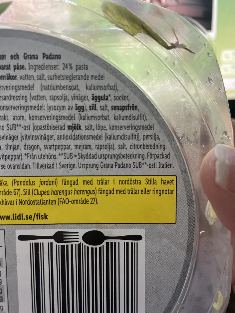 Pastasallad Räkor