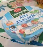 Mini Mozzarella leicht