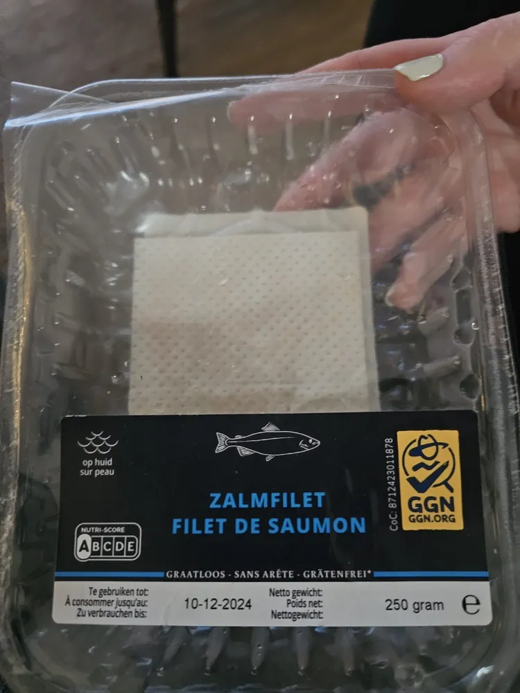 Fresh Salmon
