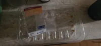 Filetes De Pescada Panados