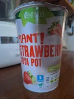 Plant Strawberry Soya Pot