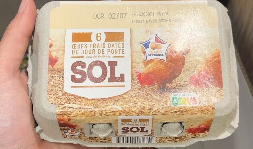 6 OEUFS FRAIS DATÉS DU JOUR DE PONTE