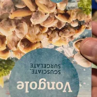 vongole