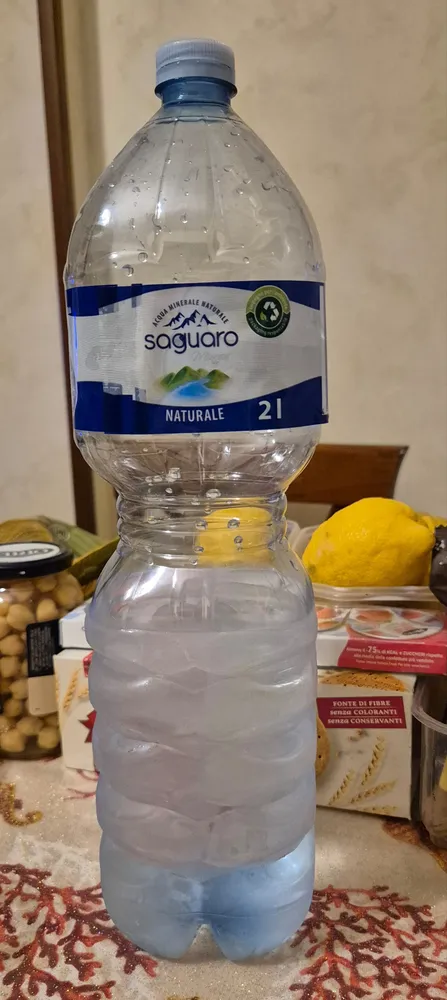 Saguaro - Contessa Gubbio