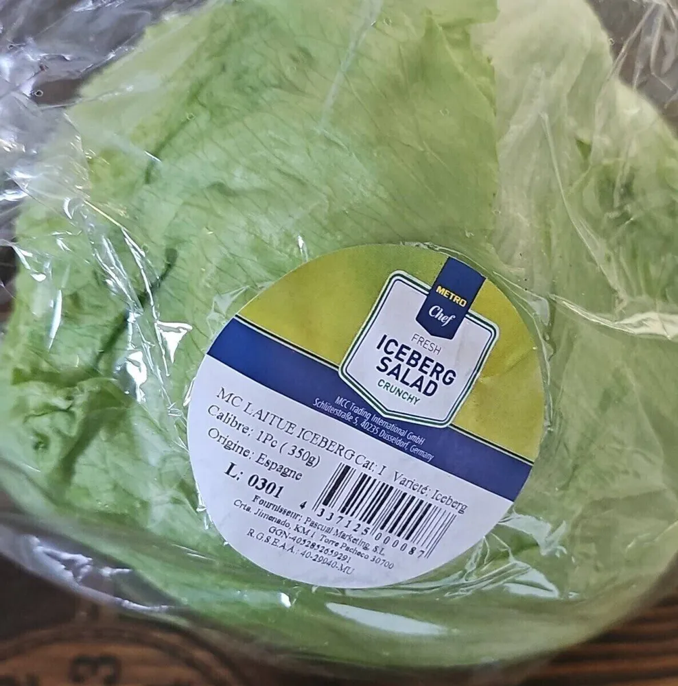 Iceberg