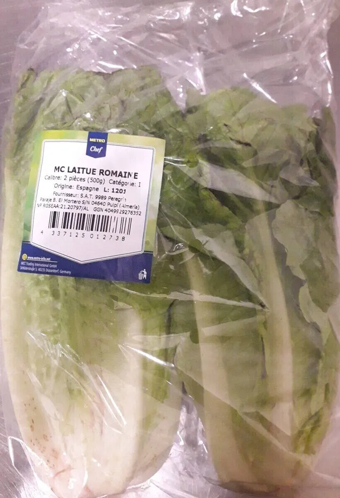 MC Laitue Romaine