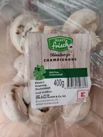 Oldenburger Champignons